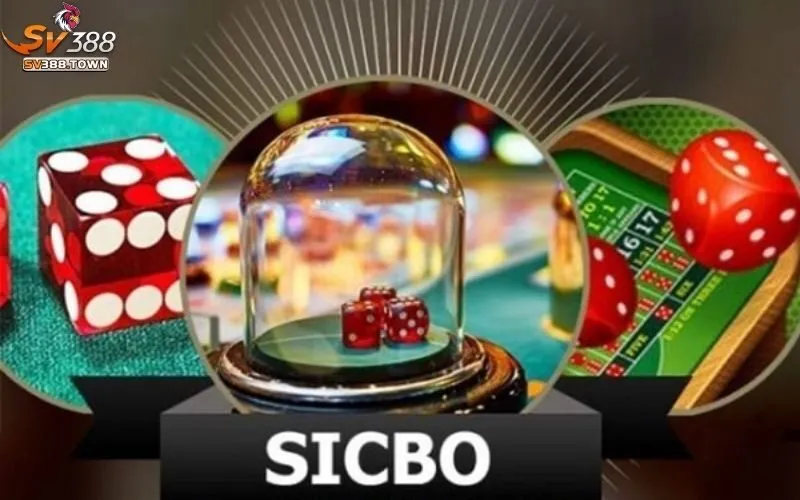 Sicbo SV388: Luật Chơi, Kinh Nghiệm Chơi Sicbo Thắng Lớn 4 Sicbo